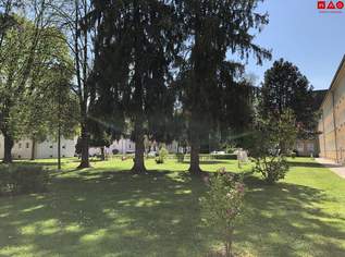 Ankommen und wohlfühlen im Grünen: diese lichtdurchflutete 3-Raum-Wohnung begeistert mit moderner Ausstattung, cleverem Schnitt und perfekter Kombination aus Ruhe und Stadtnähe!, 598.5 €, Immobilien-Wohnungen in 4400 Steyr Ankommen und wohlfühlen im Grünen: diese lichtdurchflutete 3-Raum-Wohnung begeistert mit moderner Ausstattung, cleverem Schnitt und perfekter Kombination aus Ruhe und Stadtnähe!, 598.5 €, Immobilien-Wohnungen in 4400 Steyr