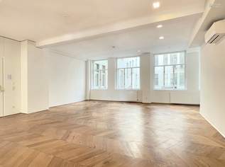 BÜRO - ORDINATION - STUDIO | HABSBURGERGASSE, 7173.23 €, Immobilien-Gewerbeobjekte in 1010 Innere Stadt