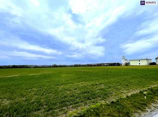 Rarität! Landwirtschaftliches Grundstück in Ebergassing – ca. 40.000 m² Ackerfläche mit enormen Wertsteigerungspotential zu verkaufen!, 550000 €, Immobilien-Grund und Boden in 2435 Gemeinde Ebergassing