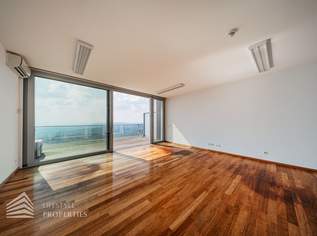 Traumhafter Blick über Wien! Garconniere mit Terrasse am Kahlenberg, 1360 €, Immobilien-Wohnungen in 1190 Döbling