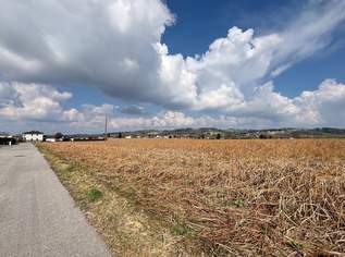 Baugrund sonnige und ebene Lage in Haid, 94715 €, Immobilien-Grund und Boden in 4782 St. Florian am Inn Baugrund sonnige und ebene Lage in Haid, 94715 €, Immobilien-Grund und Boden in 4782 St. Florian am Inn