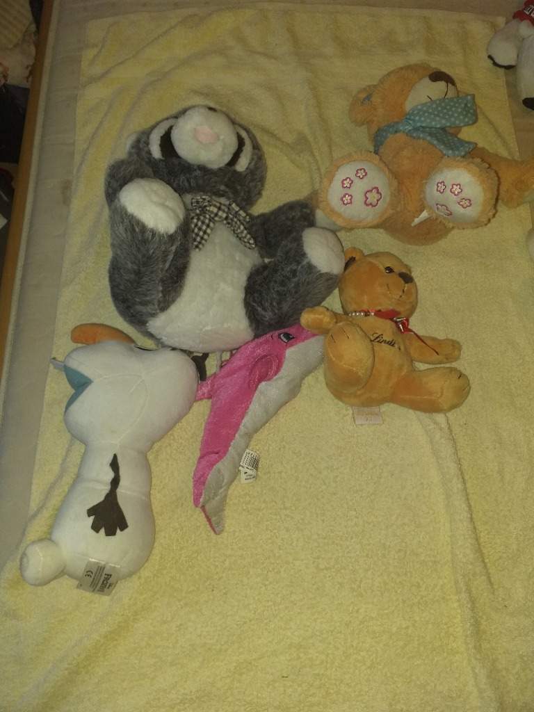 Stofftiere zum knuddeln Stofftiere zum knuddeln