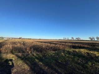 Ackerfläche Nähe Bad Radkersburg, 198000 €, Immobilien-Gewerbeobjekte in 8490 Bad Radkersburg