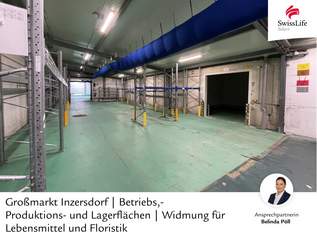 Großmarkt Inzersdorf | Betriebs,- Produktions- und Lagerflächen | Widmung für Lebensmittel und Floristik, 985000 €, Immobilien-Gewerbeobjekte in 1230 Liesing Großmarkt Inzersdorf | Betriebs,- Produktions- und Lagerflächen | Widmung für Lebensmittel und Floristik, 985000 €, Immobilien-Gewerbeobjekte in 1230 Liesing