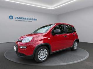 Panda, 14490 €, Auto & Fahrrad-Autos in 8041 Liebenau