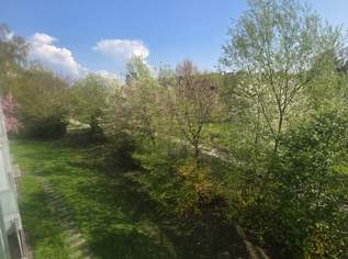 Sofort einziehen – helle 2-Zimmer-Wohnung mit großzügigem Balkon und Lift in Linz/Bindermichl!, 730.3 €, Immobilien-Wohnungen in Oberösterreich Sofort einziehen – helle 2-Zimmer-Wohnung mit großzügigem Balkon und Lift in Linz/Bindermichl!, 730.3 €, Immobilien-Wohnungen in Oberösterreich