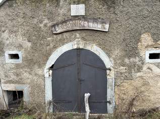 In Vino Veritas! Historischer Weinkeller im Eigentum in Winden am See, 30000 €, Immobilien-Gewerbeobjekte in 7092 Gemeinde Winden am See