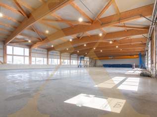 Neuwertige & beheizte Lager- oder Gewerbehalle inkl. Rolltor in Arbing (Bezirk Perg) zu vermieten!, 6925.56 €, Immobilien-Gewerbeobjekte in 4341 Arbing Neuwertige & beheizte Lager- oder Gewerbehalle inkl. Rolltor in Arbing (Bezirk Perg) zu vermieten!, 6925.56 €, Immobilien-Gewerbeobjekte in 4341 Arbing