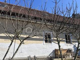 Historischer Dreiseithof mit schönen Gewölbedecken sucht neue Eigentümer, 350000 €, Immobilien-Häuser in 8384 Minihof-Liebau