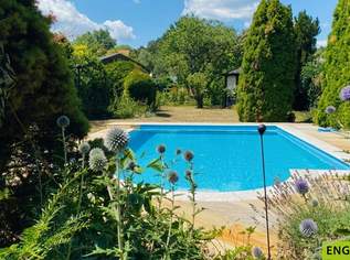 Sehr charmantes Einfamilienhaus mit traumhaftem Pool, Wintergarten, großem Carport und Garten mit einigen Extras, 649000 €, Immobilien-Häuser in 2514 Katastralgemeinde Traiskirchen Sehr charmantes Einfamilienhaus mit traumhaftem Pool, Wintergarten, großem Carport und Garten mit einigen Extras, 649000 €, Immobilien-Häuser in 2514 Katastralgemeinde Traiskirchen