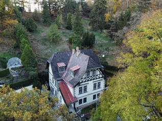 Außergewöhnliche Villa in absolut ruhiger Waldrandlage I Rund um Natur pur nahe Lainzer Tiergarten I Ausbauen+sanieren, 1395000 €, Immobilien-Häuser in 1230 Liesing