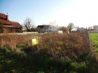 Aufgeschlossenes Baugrundstück in ruhiger Lage!, 260000 €, Immobilien-Grund und Boden in 7000 Eisenstadt