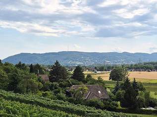 Helles Reihenhaus mit Fernblick und 2 Stellplätzen, 2525.36 €, Immobilien-Häuser in 2102 Bisamberg