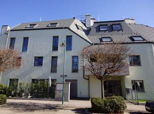 Wunderschöne Terrassenmietwohnung in Perchtoldsdorf, 1179.65 €, Immobilien-Wohnungen in 2380 Gemeinde Perchtoldsdorf