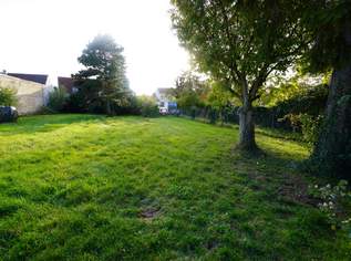 RARITÄT!! GELDANLAGE OHNE BAUZWANG IN WÜRNITZ!! IHR TRAUMGRUNDSTÜCK IN BESTLAGE WARTET AUF SIE!! AUCH FÜR BAUTRÄGER GEEIGNET, DA BIS ZU 4 WOHNEINHEITEN MÖGLICH!!, 499000 €, Immobilien-Grund und Boden in 2112 Würnitz RARITÄT!! GELDANLAGE OHNE BAUZWANG IN WÜRNITZ!! IHR TRAUMGRUNDSTÜCK IN BESTLAGE WARTET AUF SIE!! AUCH FÜR BAUTRÄGER GEEIGNET, DA BIS ZU 4 WOHNEINHEITEN MÖGLICH!!, 499000 €, Immobilien-Grund und Boden in 2112 Würnitz