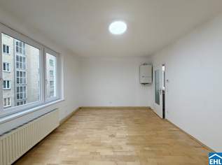 Hofseitiges Cityapartment neben der Wiener Staatsoper, 399000 €, Immobilien-Wohnungen in 1010 Innere Stadt