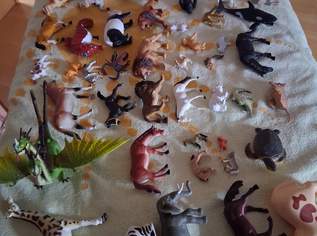 Spieltiere Spieltiere