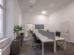 Universitätsring 8: repräsentative Bürofläche mit sehr guter Aufteilung und Ausstattung, 14195 €, Immobilien-Gewerbeobjekte in 1010 Innere Stadt