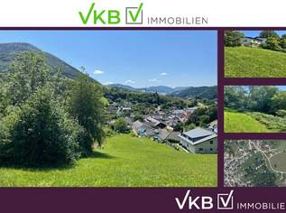Landwirtschaftliches Grundstück Mitten im Ort-Ybssitz-Niederösterreich, 10000 €, Immobilien-Grund und Boden in 3341 Gemeinde Ybbsitz