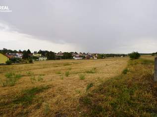 Rarität - Geldanlage ohne Bauzwang - Ihr Traumgrundstück in Bestlage wartet auf Sie, 195000 €, Immobilien-Grund und Boden in 2020 Magersdorf Rarität - Geldanlage ohne Bauzwang - Ihr Traumgrundstück in Bestlage wartet auf Sie, 195000 €, Immobilien-Grund und Boden in 2020 Magersdorf