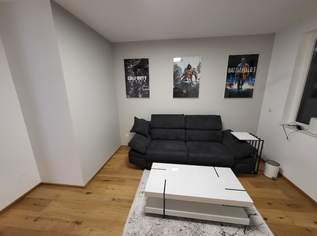 Neues Sofo, Tisch, Schlafcoutch und Kleiderschrank mit TV