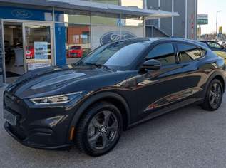 Mustang Mach-E Basis, 27990 €, Auto & Fahrrad-Autos in 7000 Mustang Mach-E Basis, 27990 €, Auto & Fahrrad-Autos in 7000