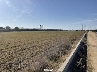 3000 - 10.000 m² Betriebsbaugrund zu kaufen, 240000 €, Immobilien-Gewerbeobjekte in 2425 Nickelsdorf 3000 - 10.000 m² Betriebsbaugrund zu kaufen, 240000 €, Immobilien-Gewerbeobjekte in 2425 Nickelsdorf