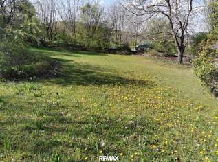 "Seltener Baugrund", 329900 €, Immobilien-Grund und Boden in 3004 Riederberg "Seltener Baugrund", 329900 €, Immobilien-Grund und Boden in 3004 Riederberg