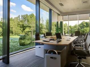 Büros zum fairen Preis, viele Goodies warten auf Sie! (mehrere Größen verfügbar), 543.12 €, Immobilien-Gewerbeobjekte in 2304 Mannsdorf an der Donau