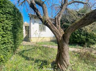 Grundstück mit voll unterkellertem Abrisshaus in ruhiger Wohngegend, 398000 €, Immobilien-Häuser in 1220 Donaustadt