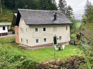 Für kreative Köpfe und Bastler, kleines Almhaus für Naturliebhaber!, 299000 €, Immobilien-Häuser in 4820 Bad Ischl