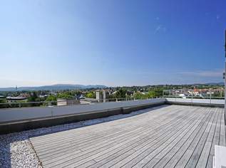 Penthouse-Wohnung | 131 m² Wfl. | 80 m² Dachterrasse mit 270°-Ausblick | PKW-Stellplatz | riesiger Gemeinschaftsgarten | im Zentrum, 790000 €, Immobilien-Wohnungen in 2345 Brunn am Gebirge