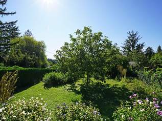 Kleingarten-Doppelparzelle im Eigentum mit Altbestand - Ober St. Veit beim Lainzer Tiergarten, 790000 €, Immobilien-Grund und Boden in 1130 Hietzing