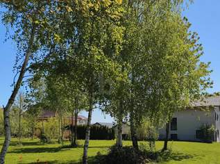 RARITÄT IN ASCHBACH 1.227 M² BAUGRUND, VOLL AUFGESCHLOSSEN OHNE BAUZWANG, 0 €, Immobilien-Grund und Boden in 3361 Aschbach-Markt RARITÄT IN ASCHBACH 1.227 M² BAUGRUND, VOLL AUFGESCHLOSSEN OHNE BAUZWANG, 0 €, Immobilien-Grund und Boden in 3361 Aschbach-Markt