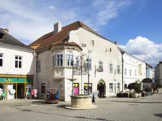 Großraum Geschäft in der Einkaufpassage Neunkirchen zu mieten!, 3541.67 €, Immobilien-Gewerbeobjekte in 2620 Gemeinde Neunkirchen