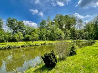 Idyllisches Grundstück mit 2 Fischteichen im Bezirk Leibnitz, 55000 €, Immobilien-Grund und Boden in 8435 Wagna
