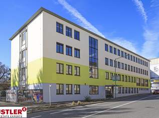 Viele Möglichkeiten, gute Substanz, 4739.34 €, Immobilien-Gewerbeobjekte in 4400 Steyr