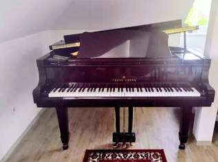 Klavier Flügel YOUNG CHANG G- 157 , 3000 €, Marktplatz-Musik & Musikinstrumente in 9020 Klagenfurt am Wörthersee