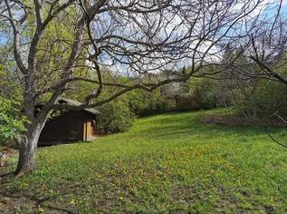 "Seltener Baugrund", 349000 €, Immobilien-Grund und Boden in 3004 Riederberg