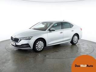 Škoda OCTAVIA Style TDI DSG, 22950 €, Auto & Fahrrad-Autos in 8041 Liebenau Škoda OCTAVIA Style TDI DSG, 22950 €, Auto & Fahrrad-Autos in 8041 Liebenau