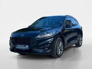 Kuga 2,0 EcoBlue Hybrid ST-Line Aut., 29990 €, Auto & Fahrrad-Autos in 2345 Brunn am Gebirge Kuga 2,0 EcoBlue Hybrid ST-Line Aut., 29990 €, Auto & Fahrrad-Autos in 2345 Brunn am Gebirge