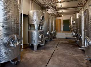 Weingut in einmaliger Alleinlage in der Südweststeiermark Weingut in einmaliger Alleinlage in der Südweststeiermark