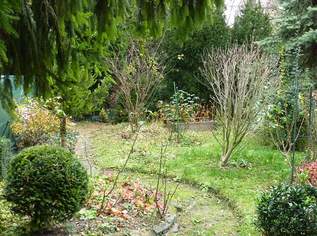 3-Zimmer-Wohnung mit 160 m² Eigengarten – zentrumsnah in Korneuburg, vermietet bis Oktober 2029, 350000 €, Immobilien-Wohnungen in 2100 Korneuburg