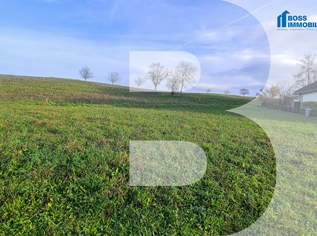 Traumgrundstück für Ihr Eigenheim, 98500 €, Immobilien-Grund und Boden in 4502 Oberschöfring Traumgrundstück für Ihr Eigenheim, 98500 €, Immobilien-Grund und Boden in 4502 Oberschöfring