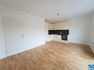 3 Zimmerwohnung mit Terrasse Nähe Votivkirche - Schottentor, 1597.75 €, Immobilien-Wohnungen in 1090 Alsergrund