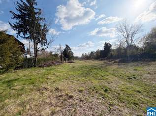 Neuer Preis! Baugrund in Bestlage am Maurerberg – Südhanglage mit Blick ins Grüne, 2990000 €, Immobilien-Grund und Boden in 1230 Liesing Neuer Preis! Baugrund in Bestlage am Maurerberg – Südhanglage mit Blick ins Grüne, 2990000 €, Immobilien-Grund und Boden in 1230 Liesing