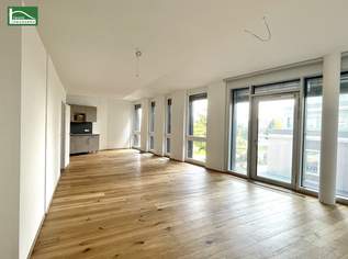 Modernes Büro an der Seepromenade in der Seestadt - inkl. Einbauküche. - WOHNTRAUM, 748.83 €, Immobilien-Gewerbeobjekte in 1220 Donaustadt