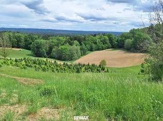„Sonnenaufgang, Weitblick, Freiheit – bauen Sie dort, wo andere durchatmen.“, 140000 €, Immobilien-Grund und Boden in 8434 Maxlon