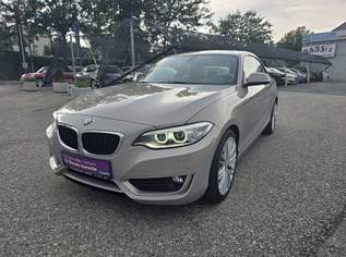 220 d xDrive Coupé Advantage Aut. *LEDER*NAVI*