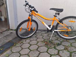 Jungendfahrrad 24 Zoll, 70 €, Auto & Fahrrad-Fahrräder in 2291 Gemeinde Lassee